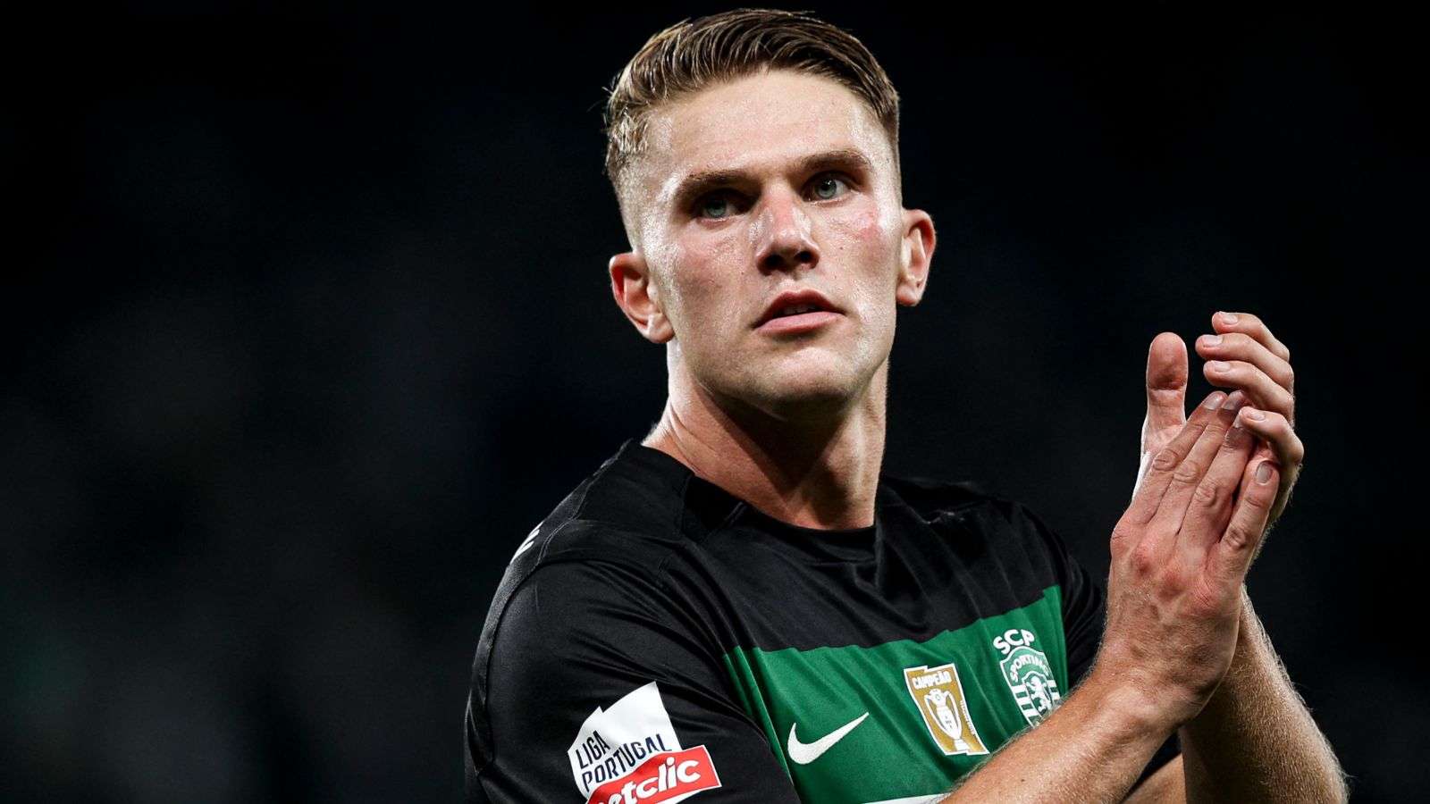 再现金鸡独 再现金鸡独